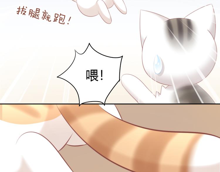 《猫爪之下》漫画最新章节第88话 更近一点免费下拉式在线观看章节第【34】张图片