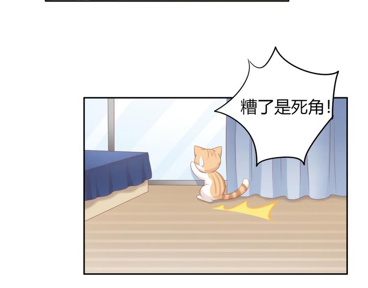 《猫爪之下》漫画最新章节第88话 更近一点免费下拉式在线观看章节第【37】张图片