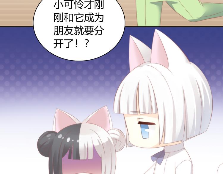 《猫爪之下》漫画最新章节第90话 傲娇的愤怒免费下拉式在线观看章节第【20】张图片