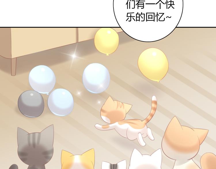 《猫爪之下》漫画最新章节第91话 永远永远免费下拉式在线观看章节第【13】张图片