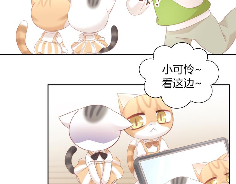 《猫爪之下》漫画最新章节第91话 永远永远免费下拉式在线观看章节第【35】张图片