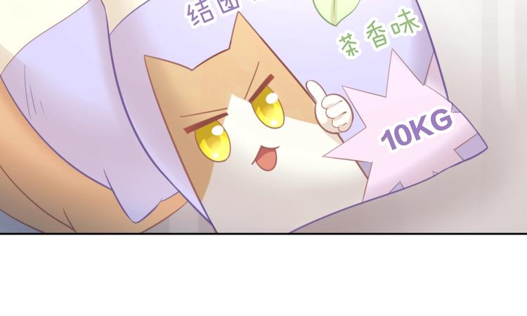 《猫爪之下》漫画最新章节第92话 春天的味道免费下拉式在线观看章节第【17】张图片