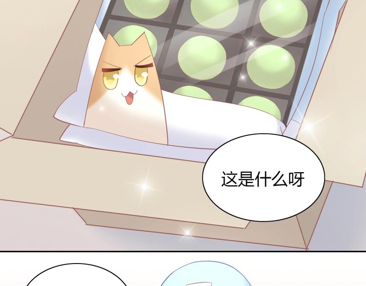 《猫爪之下》漫画最新章节第92话 春天的味道免费下拉式在线观看章节第【32】张图片