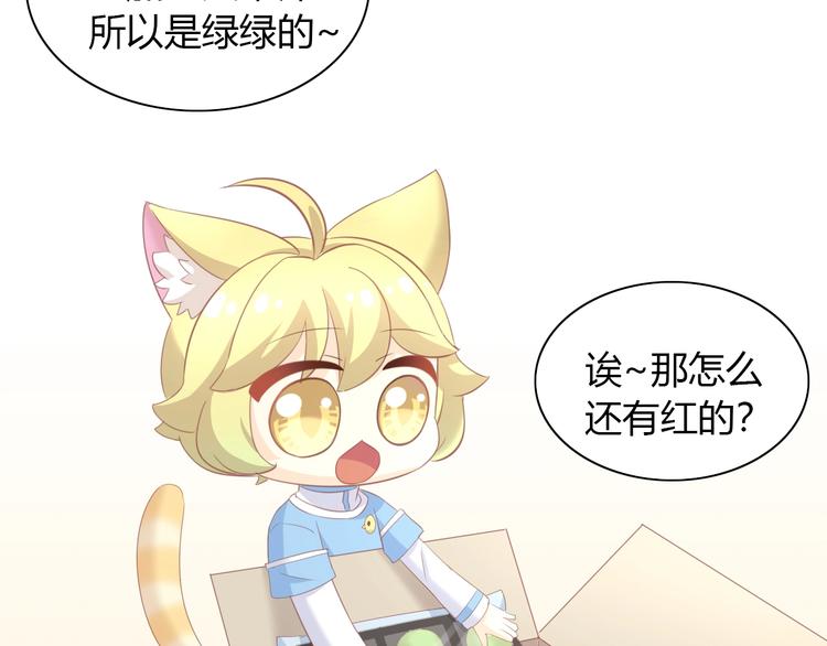 《猫爪之下》漫画最新章节第92话 春天的味道免费下拉式在线观看章节第【37】张图片