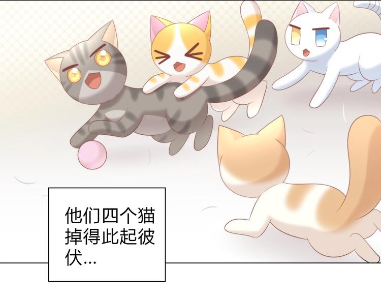 《猫爪之下》漫画最新章节第93话 撸猫快乐成仙！免费下拉式在线观看章节第【13】张图片