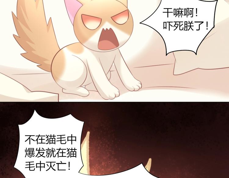 《猫爪之下》漫画最新章节第93话 撸猫快乐成仙！免费下拉式在线观看章节第【25】张图片