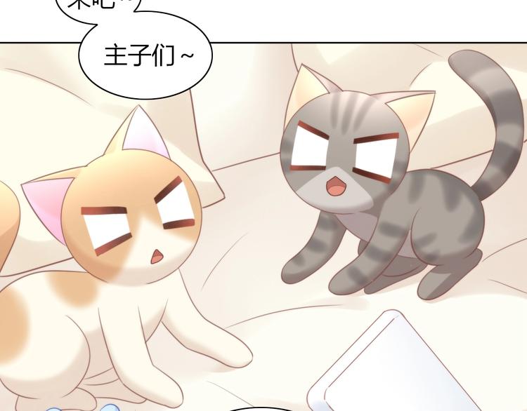 《猫爪之下》漫画最新章节第93话 撸猫快乐成仙！免费下拉式在线观看章节第【33】张图片