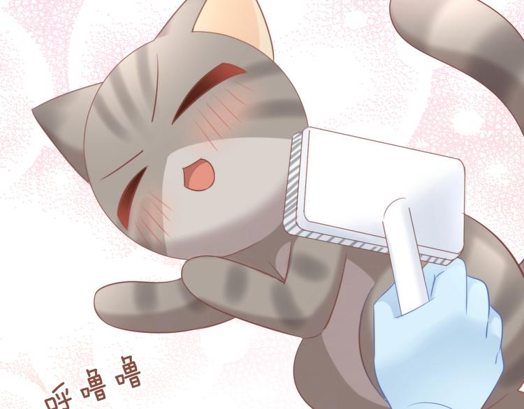 《猫爪之下》漫画最新章节第93话 撸猫快乐成仙！免费下拉式在线观看章节第【35】张图片