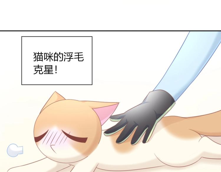 《猫爪之下》漫画最新章节第93话 撸猫快乐成仙！免费下拉式在线观看章节第【47】张图片