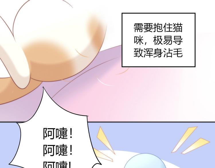 《猫爪之下》漫画最新章节第93话 撸猫快乐成仙！免费下拉式在线观看章节第【60】张图片