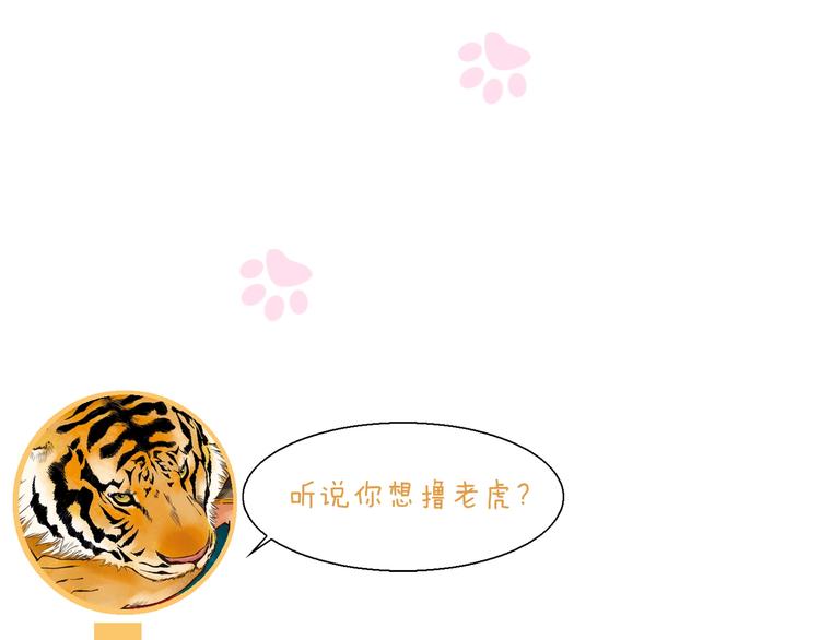 《猫爪之下》漫画最新章节第93话 撸猫快乐成仙！免费下拉式在线观看章节第【69】张图片