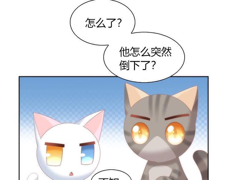 《猫爪之下》漫画最新章节第97话 双生中二病免费下拉式在线观看章节第【80】张图片