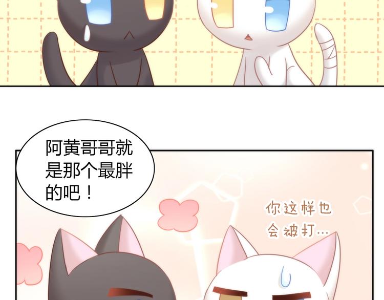 《猫爪之下》漫画最新章节第98话 吃醋！免费下拉式在线观看章节第【44】张图片