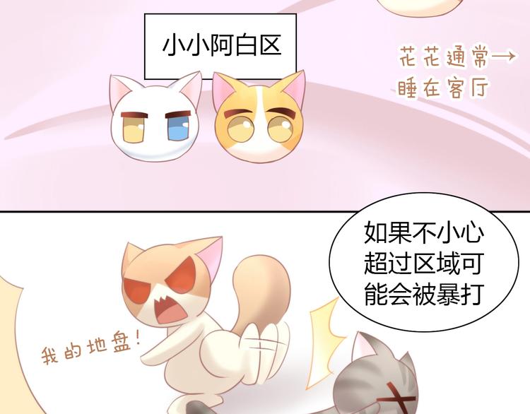 《猫爪之下》漫画最新章节第98话 吃醋！免费下拉式在线观看章节第【53】张图片