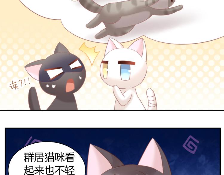 《猫爪之下》漫画最新章节第98话 吃醋！免费下拉式在线观看章节第【54】张图片