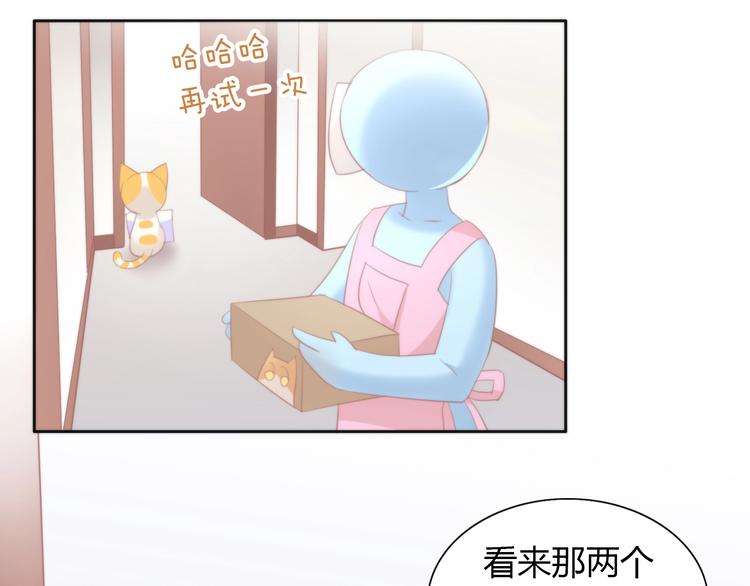 《猫爪之下》漫画最新章节第98话 吃醋！免费下拉式在线观看章节第【71】张图片