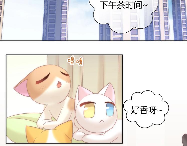 《猫爪之下》漫画最新章节第99话 你们不要再那么亲密了免费下拉式在线观看章节第【7】张图片