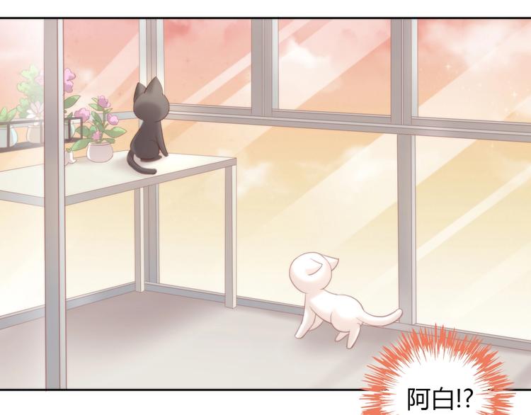 《猫爪之下》漫画最新章节第99话 你们不要再那么亲密了免费下拉式在线观看章节第【77】张图片