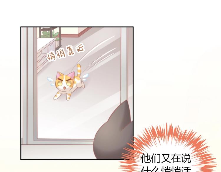 《猫爪之下》漫画最新章节第99话 你们不要再那么亲密了免费下拉式在线观看章节第【79】张图片