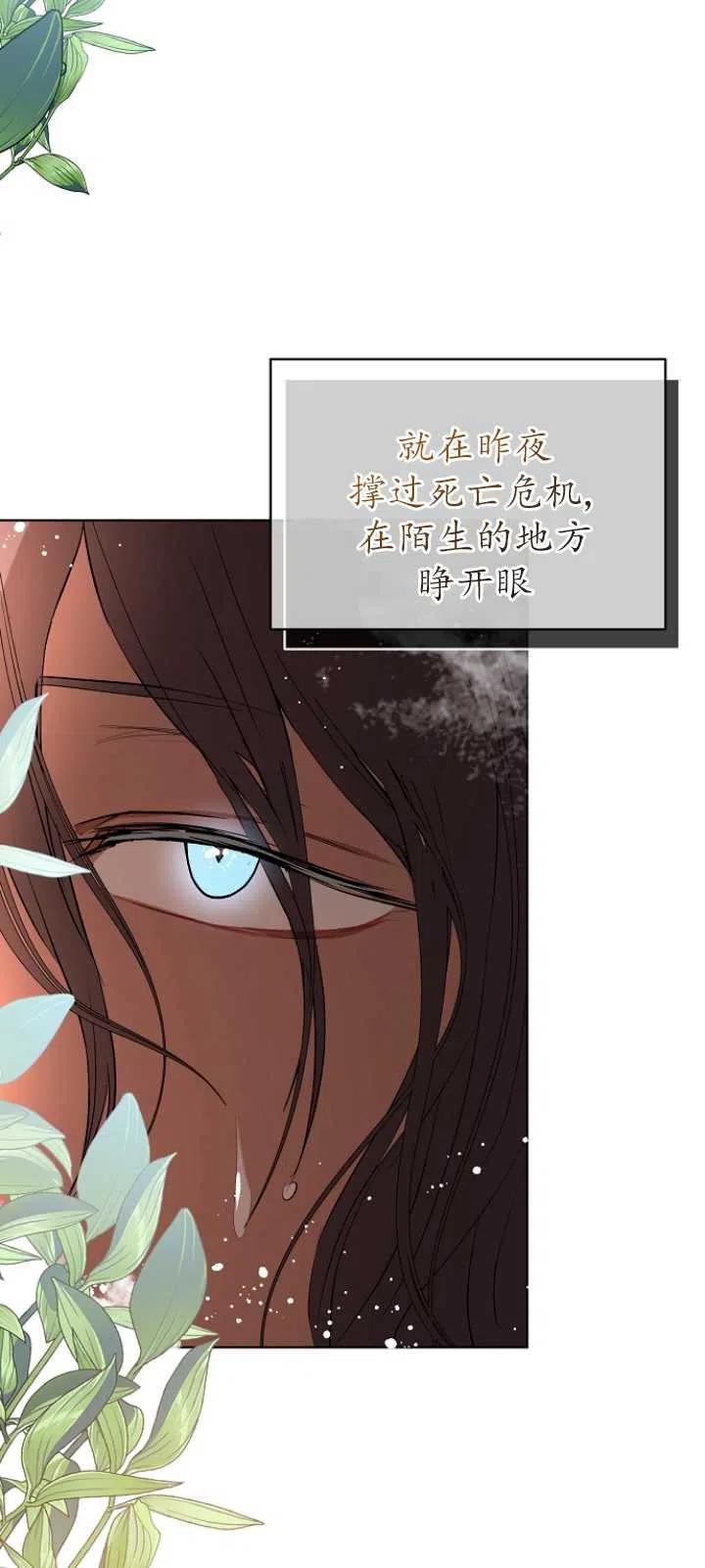 《没打算勾引男主》漫画最新章节第21话免费下拉式在线观看章节第【54】张图片