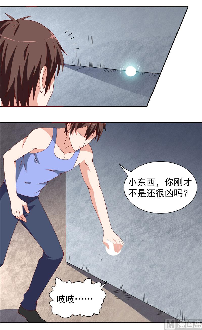 《美女大小姐的专属高手》漫画最新章节第13话 小奶球免费下拉式在线观看章节第【8】张图片