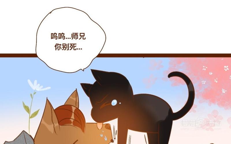 《门徒》漫画最新章节第286话 洞房？！免费下拉式在线观看章节第【33】张图片