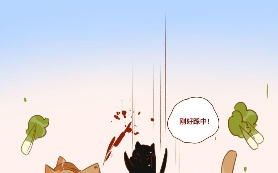 《门徒》漫画最新章节第287话 师兄接好我！免费下拉式在线观看章节第【51】张图片