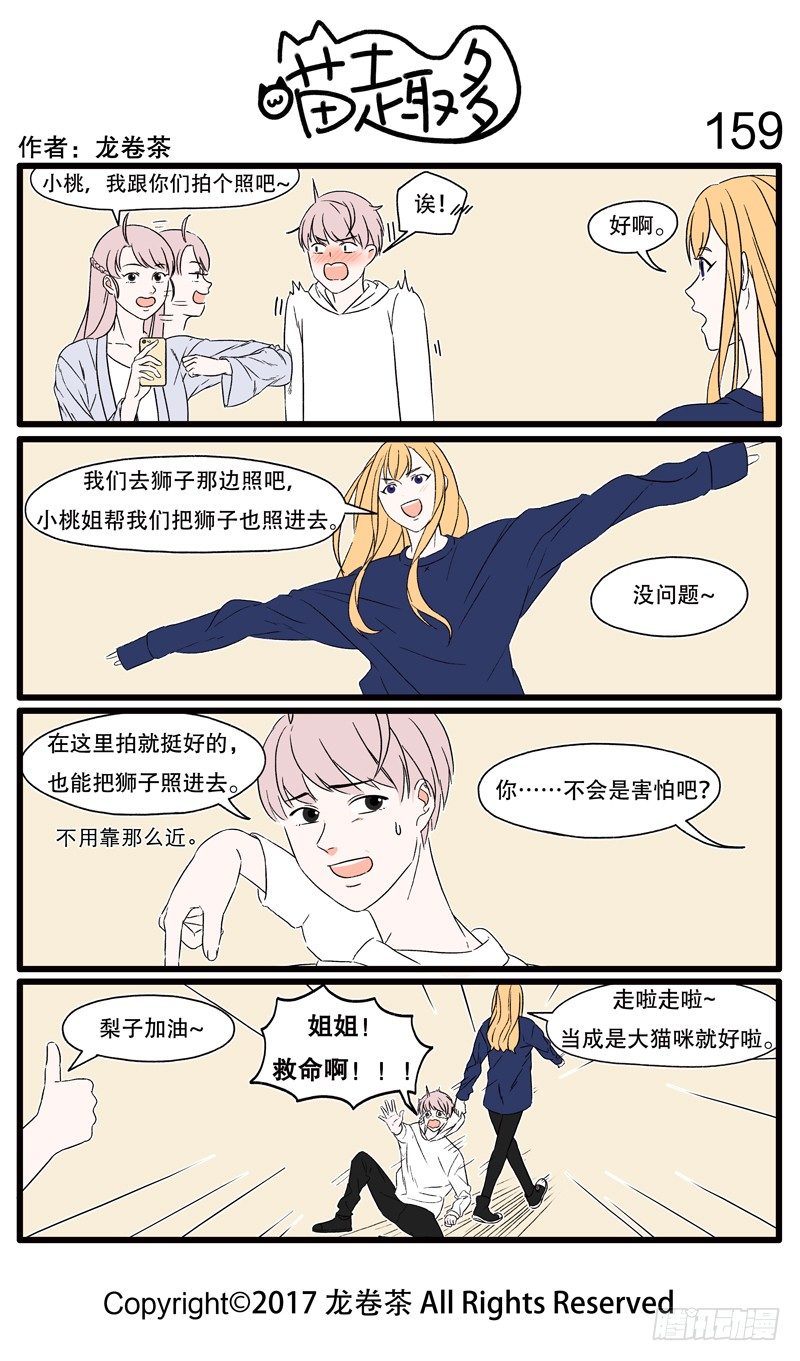 《喵趣多》漫画最新章节155~174免费下拉式在线观看章节第【5】张图片