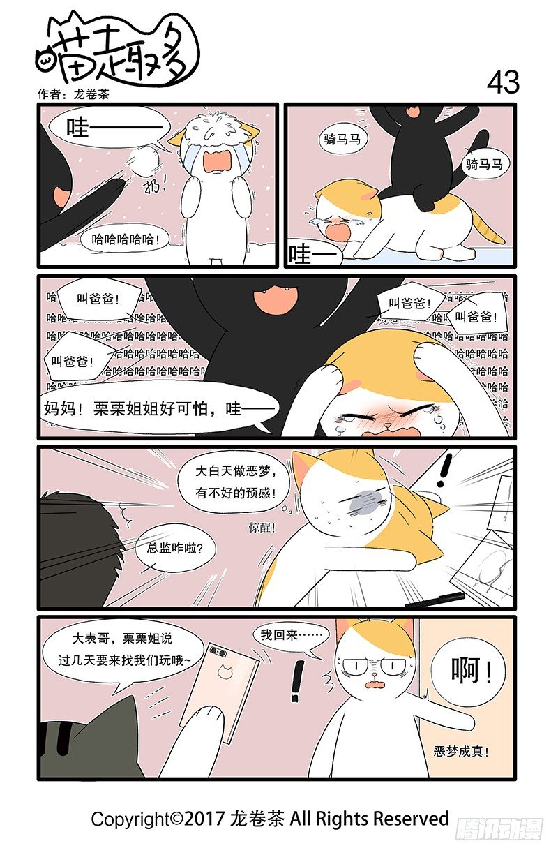 《喵趣多》漫画最新章节43-52免费下拉式在线观看章节第【1】张图片