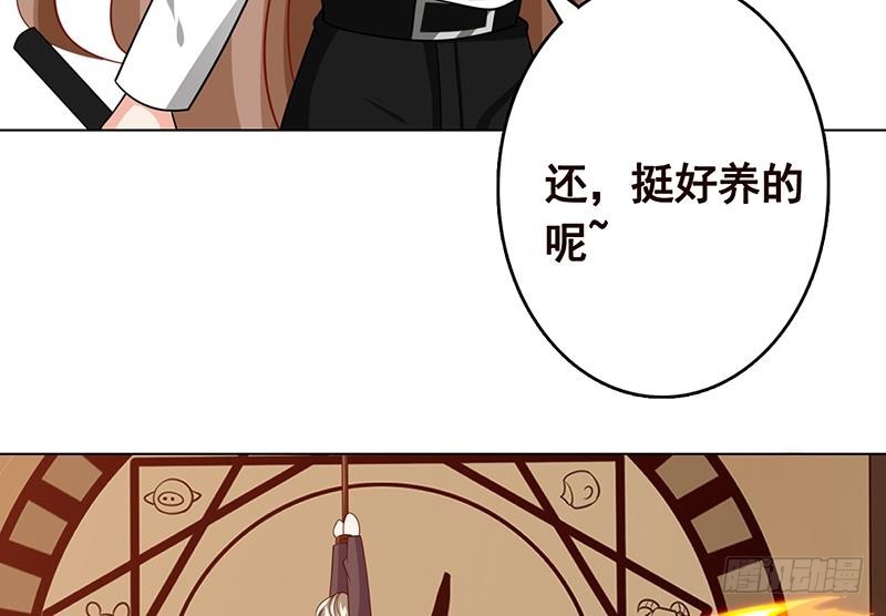 《末世恋爱法则》漫画最新章节第207话 诡异的丧尸免费下拉式在线观看章节第【59】张图片