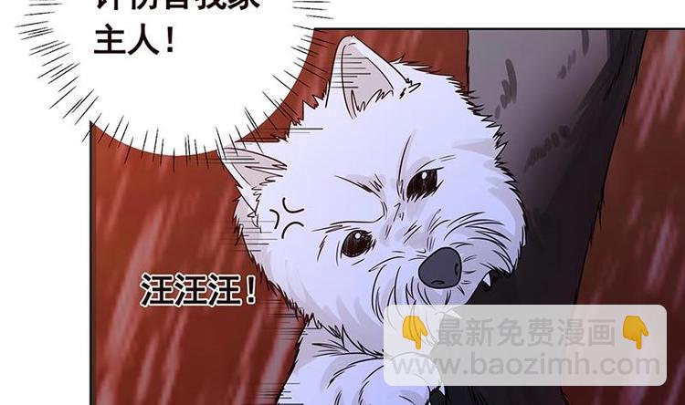 《末世恋爱法则》漫画最新章节第23话 滚出！免费下拉式在线观看章节第【12】张图片