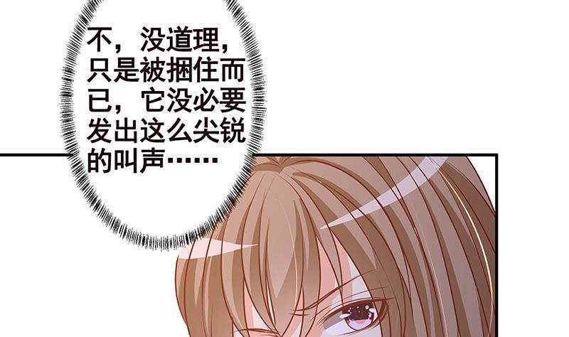 《末世恋爱法则》漫画最新章节第249话 避难所免费下拉式在线观看章节第【44】张图片