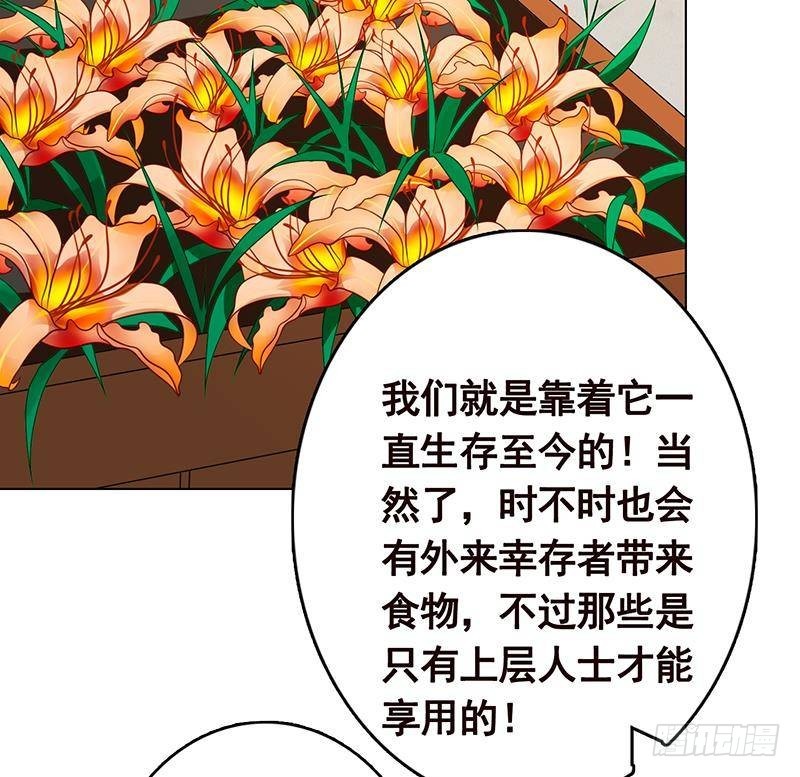 《末世恋爱法则》漫画最新章节第301话 忘忧草免费下拉式在线观看章节第【56】张图片