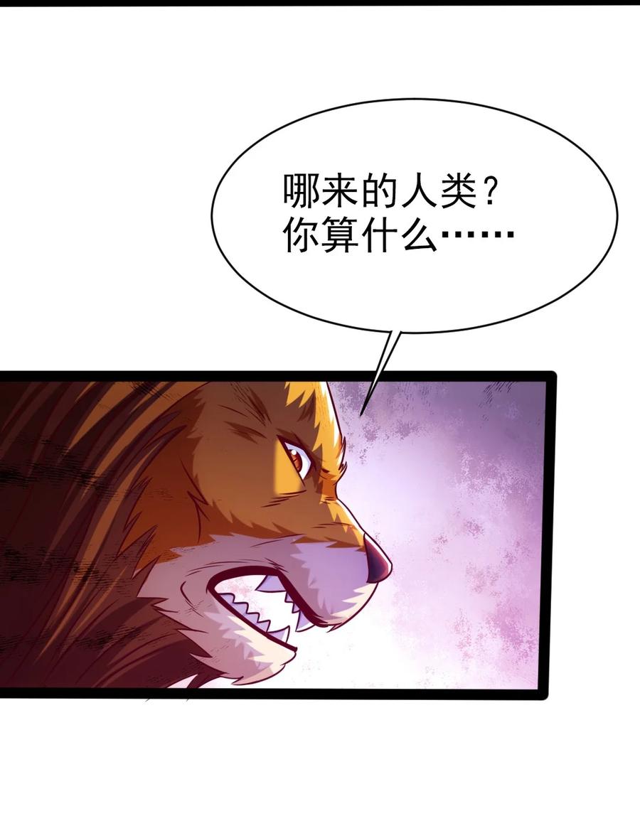 《魔兽剑圣异界纵横》漫画最新章节206 龙族来贺免费下拉式在线观看章节第【36】张图片