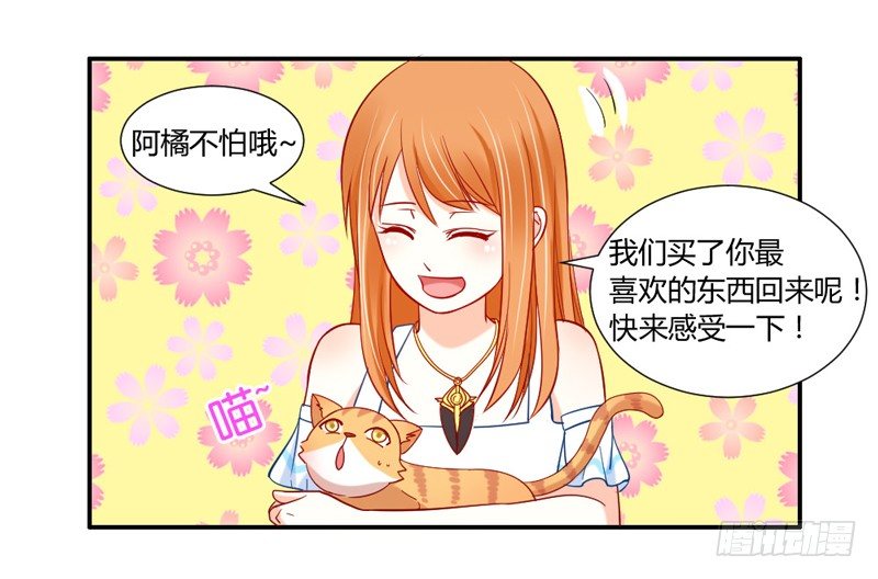 《魔王大人请慢走》漫画最新章节十个橘猫九个胖免费下拉式在线观看章节第【31】张图片