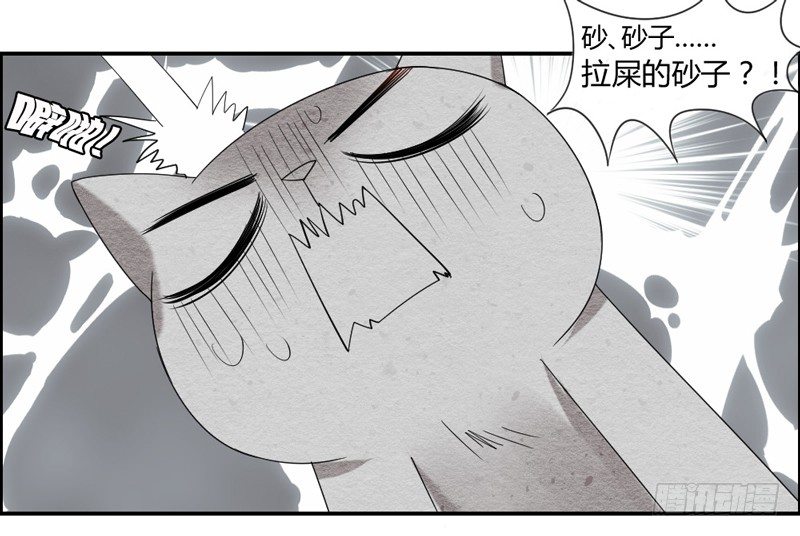 《魔王大人请慢走》漫画最新章节十个橘猫九个胖免费下拉式在线观看章节第【35】张图片