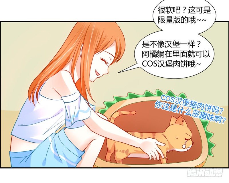 《魔王大人请慢走》漫画最新章节十个橘猫九个胖免费下拉式在线观看章节第【37】张图片