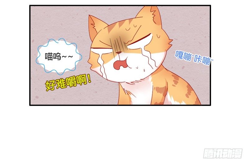 《魔王大人请慢走》漫画最新章节默默守护你免费下拉式在线观看章节第【8】张图片