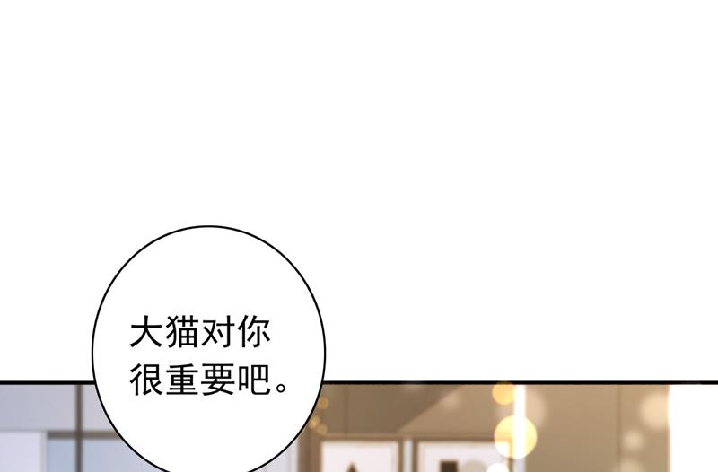 《沫许辰光》漫画最新章节这是……大猫？！免费下拉式在线观看章节第【10】张图片