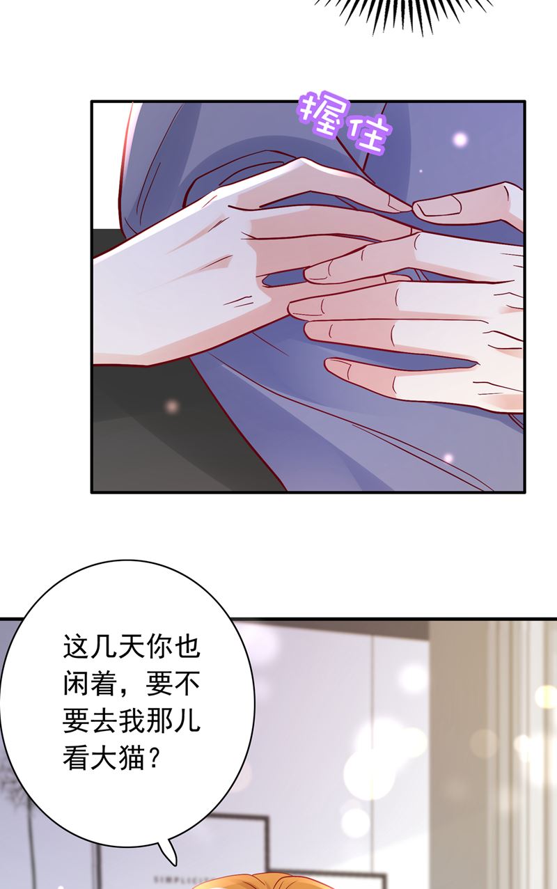 《沫许辰光》漫画最新章节这是……大猫？！免费下拉式在线观看章节第【16】张图片