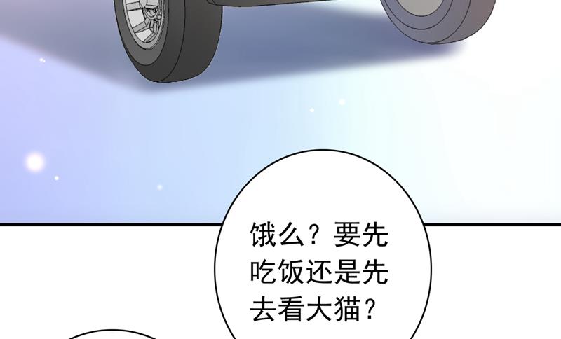 《沫许辰光》漫画最新章节这是……大猫？！免费下拉式在线观看章节第【36】张图片