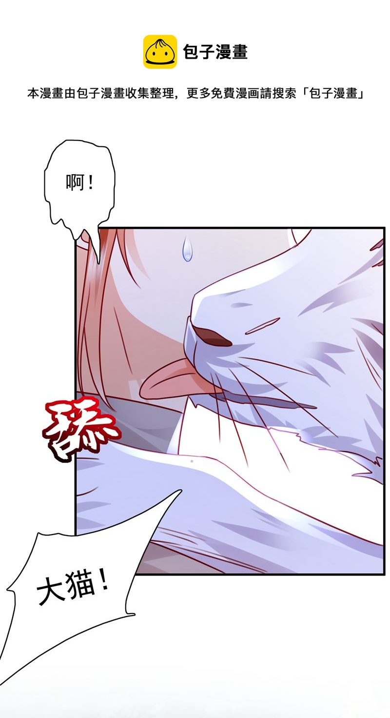 《沫许辰光》漫画最新章节这是……大猫？！免费下拉式在线观看章节第【56】张图片