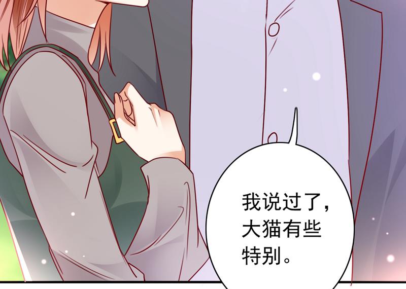 《沫许辰光》漫画最新章节这是……大猫？！免费下拉式在线观看章节第【60】张图片