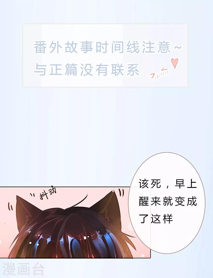 《万丈光芒不及你》漫画最新章节番外1免费下拉式在线观看章节第【1】张图片