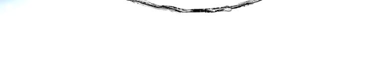 【魔尊要抱抱】漫画-（第8话 忘川酒的解药）章节漫画下拉式图片-24.jpg