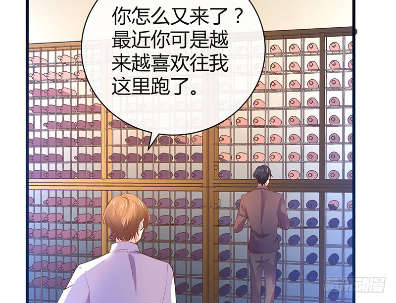 《南风也曾入我怀》漫画最新章节第194话 榕城到底谁做主免费下拉式在线观看章节第【71】张图片