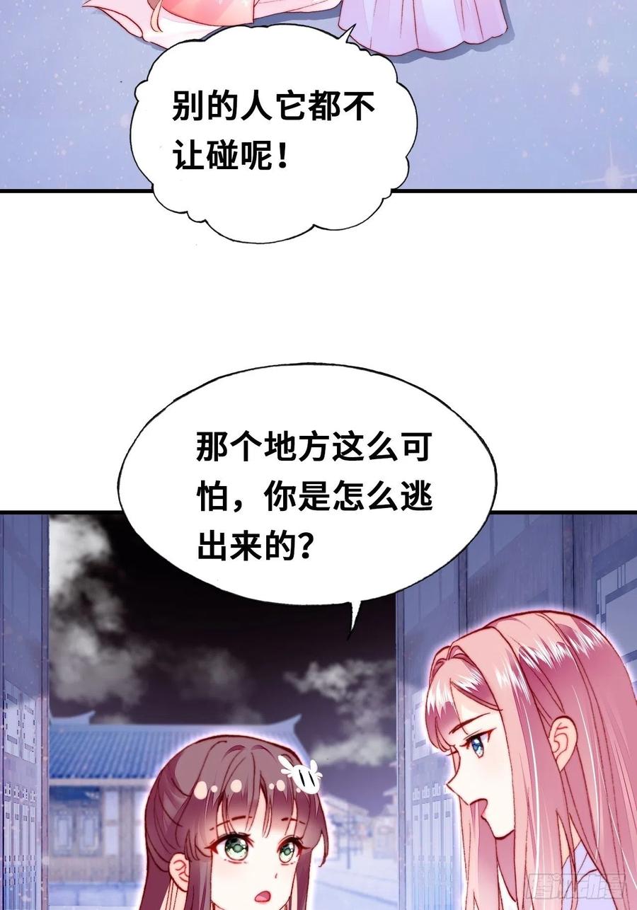 《你马甲掉了，幽皇陛下》漫画最新章节46、蓝姑娘与阮公子免费下拉式在线观看章节第【38】张图片