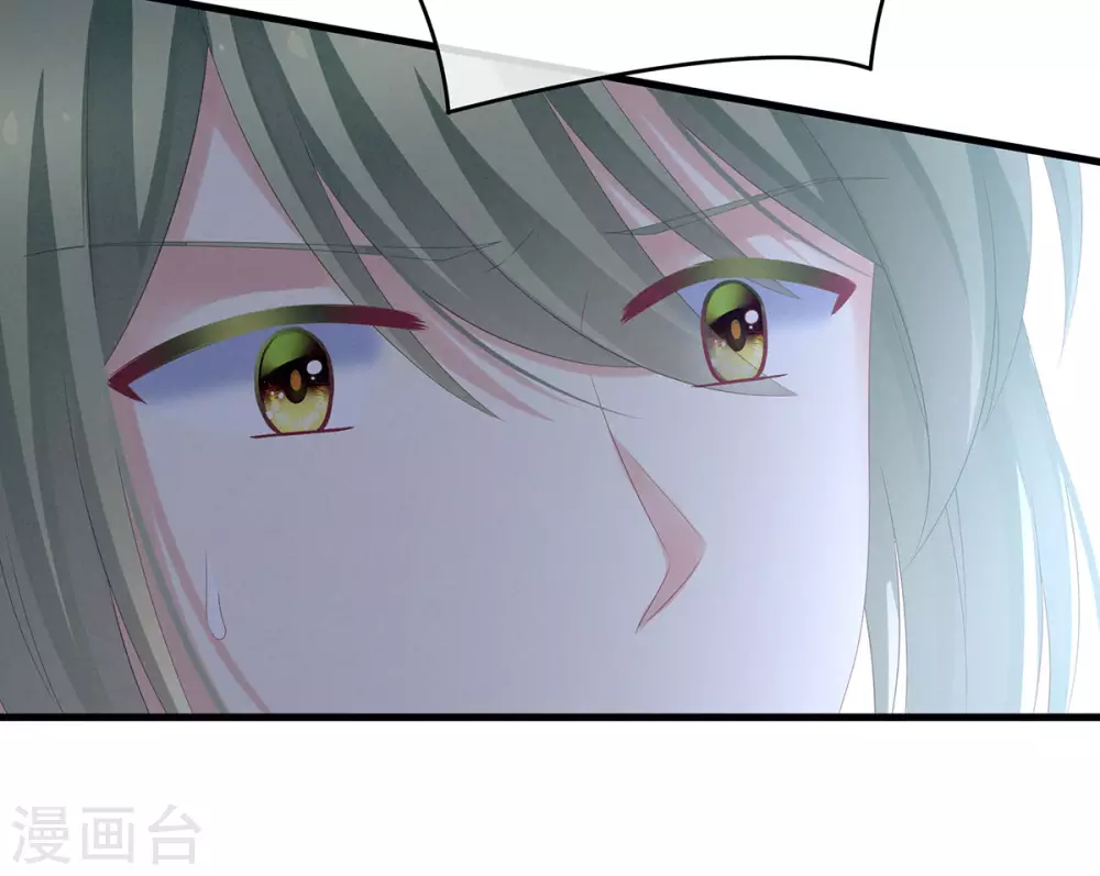 《女帝的后宫》漫画最新章节第199话 宁王夫要换人？免费下拉式在线观看章节第【40】张图片