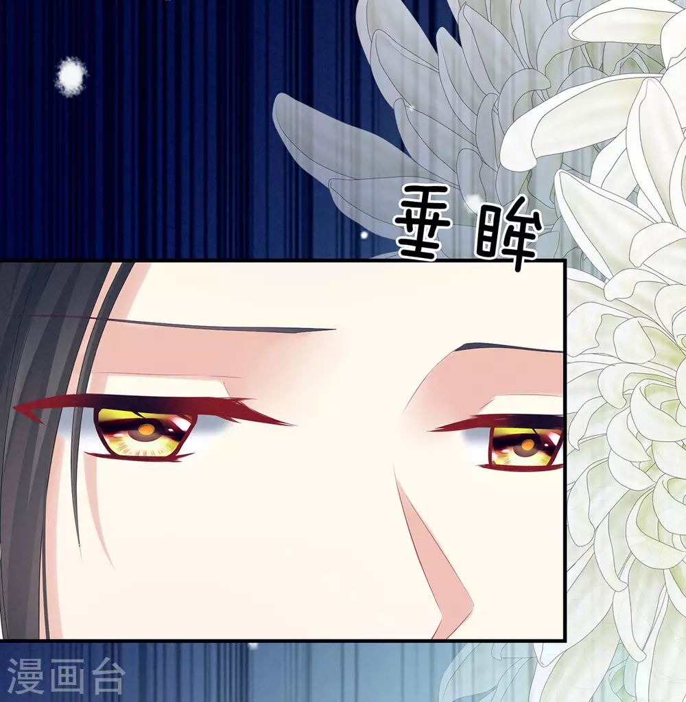 《女帝的后宫》漫画最新章节第205话 她不是我的妻主免费下拉式在线观看章节第【7】张图片