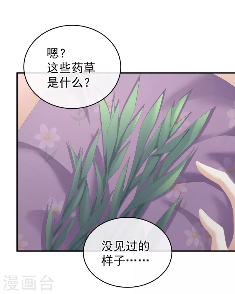 《女帝的后宫》漫画最新章节第244话 乖，配合我免费下拉式在线观看章节第【15】张图片